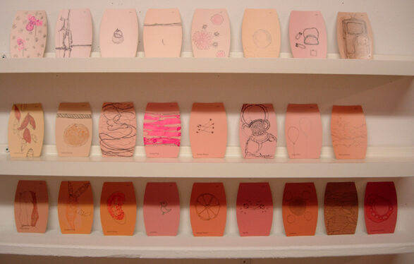 Paint Samples - Lady Pink's Patient Passionate Paint Samples