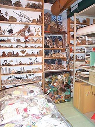 Shelves of Natural Objects - 3