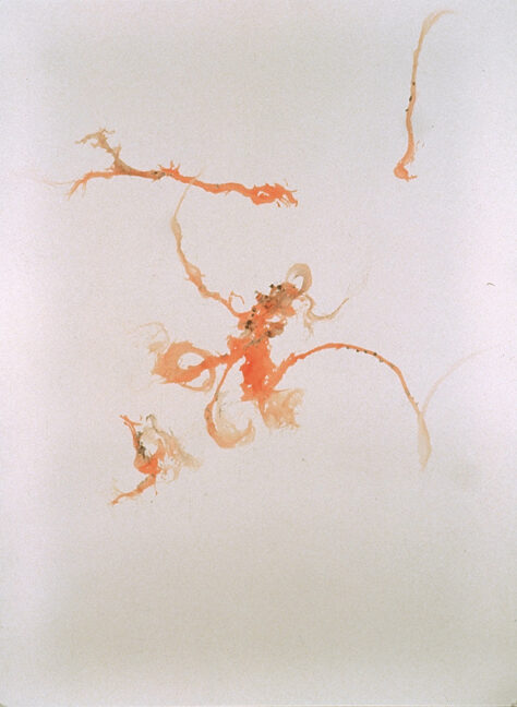 Drawing by Twelve Worms (orange)