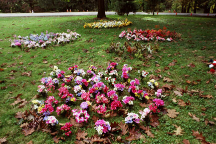 Articficial Flower Patch “They’re always in bloom and so easy to clean.” 2