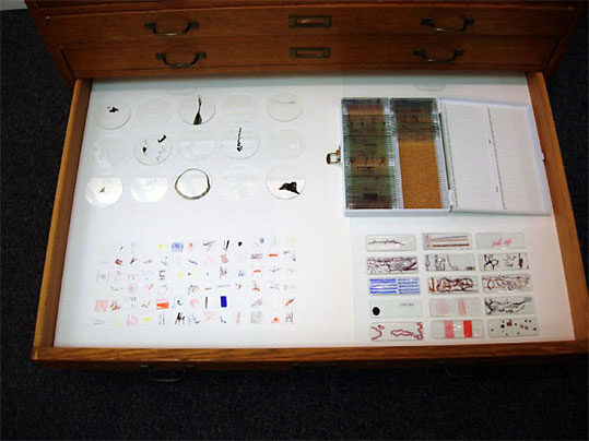 Flat-File Drawer 4