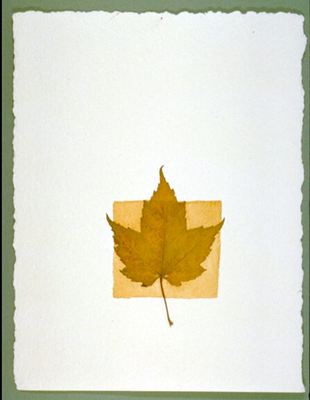 Untitled - Leaf and Liver on Paper 02