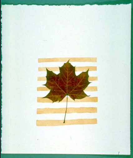 Untitled - Leaf and Liver on Paper 03