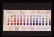 Artwork by Denise Tassin - Color Paint Chart