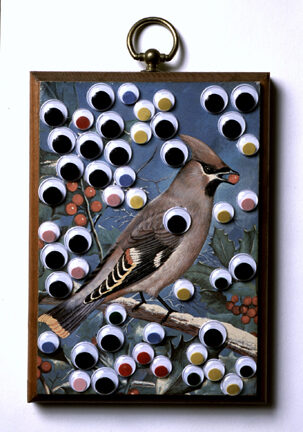 Artwork by Denise Tassin - Google Eye Bird Plaque