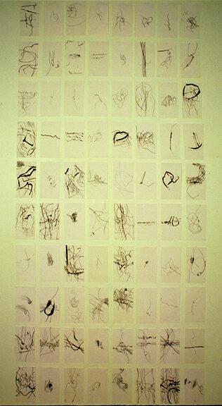 West Virginia Nesting Grid - 80 Drawings (black ink on paper).